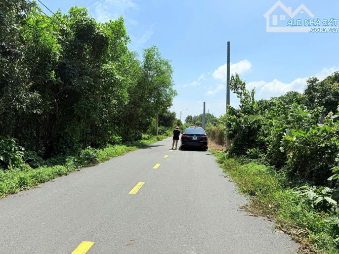VƯỜN NHÃN THỊ TRẤN PHƯỚC HẢI - LONG ĐẤT - BRVT; view núi Minh Đạm và gần Hồ Sở Bông  🌈🌈 - 1
