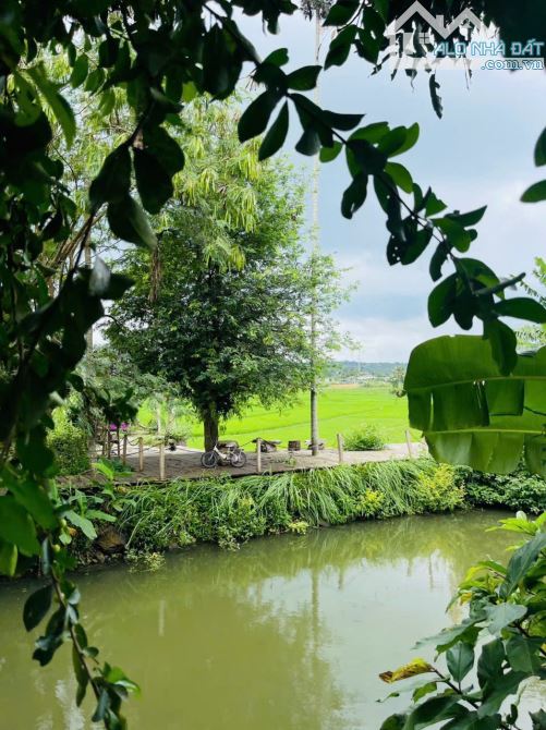 Nhà vườn view hồ 3,4 sào Tc200 sau lưng Đồi Thông Hoà Thắng 14 Tỷ - 12