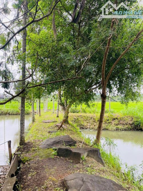 Nhà vườn view hồ 3,4 sào Tc200 sau lưng Đồi Thông Hoà Thắng 14 Tỷ - 14
