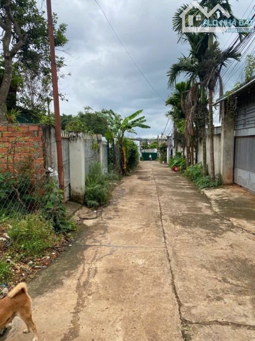BÁN ĐẤT HẺM YNIKSOR - HÙNG VƯƠNG - PHƯỜNG TÂN LẬP !!! - 2