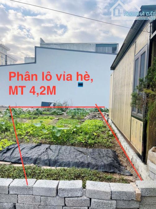 [ FO ] Phân lô vỉa hè Tổ 2 Lê Hồng Phong, TP Phủ Lý, Hà Nam. ( P. PHÙ VÂN, NINH BÌNH ). - 2