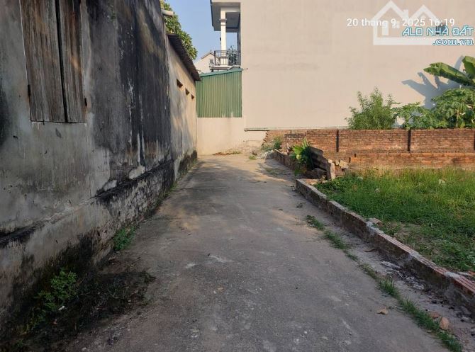 Bán đất Tiên Hùng, Nguyên Khê, 60m2, mt3.5m, 2.6 tỷ. Ô tô. - 2