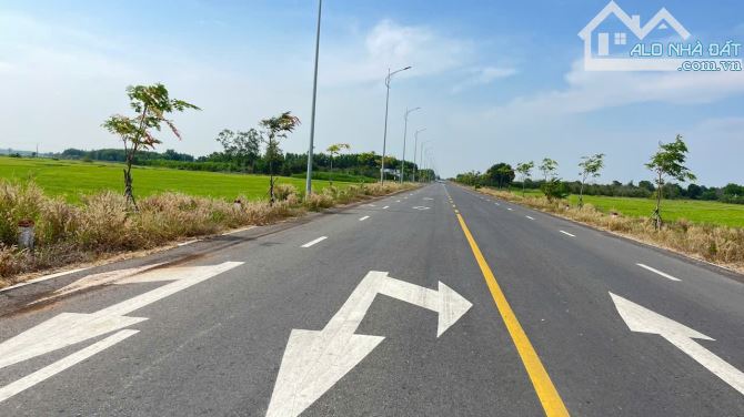 BÁN ĐẤT PHƯỚC ONG THỌ - XÃ ĐẤT ĐỎ - BRVT. SAU KHU CÔNG NGHIỆP DÂN CƯ ĐÔNG - 2