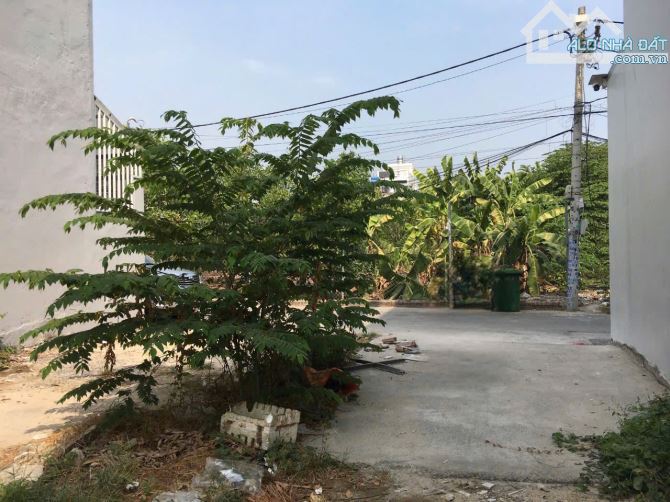 Đất FULL THỔ CƯ đường THẠNH XUÂN 24 phường Thạnh Xuân Q12 DT 68,6m2 (4x17) đường 6m💰4,05T - 2