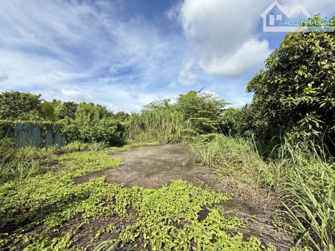 🌳 ĐẤT VƯỜN NGANG KHỦNG 19,2M – 955M² – VIEW SÔNG THOÁNG MÁT – GIÁP HÓC MÔN - BÌNH MỸ-6TỶ - 2