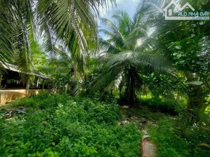 Bán 2650m2 đất mặt tiền đường nhựa 883 mới - 2