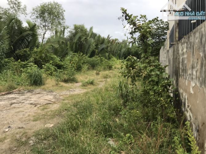 1500m2 Đất Nhà Bè Full Thổ Cư 100% 6,6tr/m2 - 2