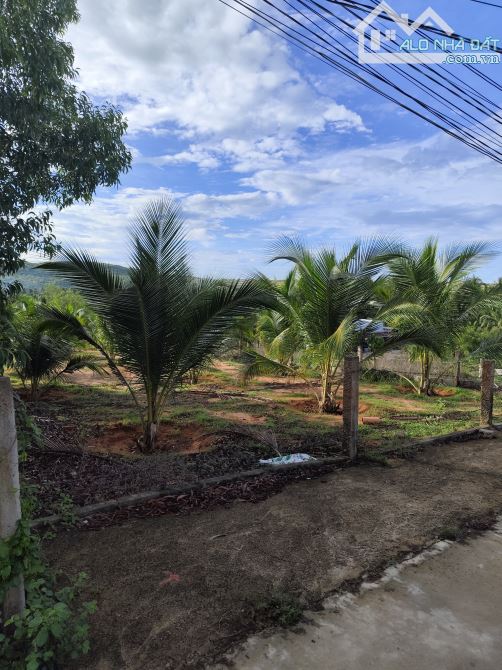 Cần bán 500m2 đất tại khu phố 1 Hàm Tiến, giá 3.6 tỷ - 2