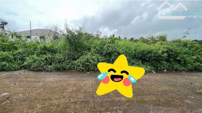 Cần Bán Nhanh Lô Đất Hẻm Cấp 1 Hồ Thôn 1 Đạt Lý BMT - 2