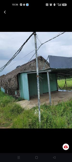 Lô đất lúa 1920m2 ở Xuân Thới thượng 2, xe hơi vào đến đất, quy hoạch khu dân cư. - 2