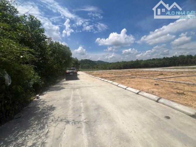 Cần bán 420m đất thổ cư đẫ tách ra 3 sổ tại Thạch Thành Thanh Hoá - 2