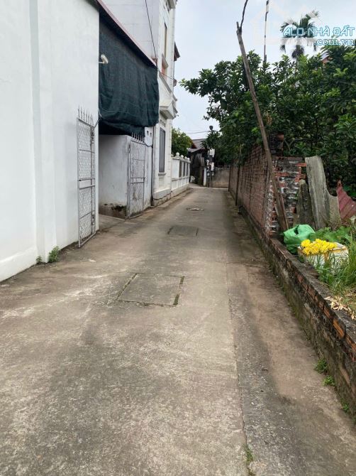 Bán 50m đất Tráng Việt, Mê Linh, HN. Đường thông, oto đỗ đất. Gần dự án cầu Thượng Cát - 2