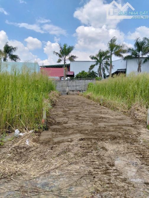 Cần bán 120m2 đất khu dân cư gần khu công nghiệp cầu tràm giá 1,190 tỷ - 2