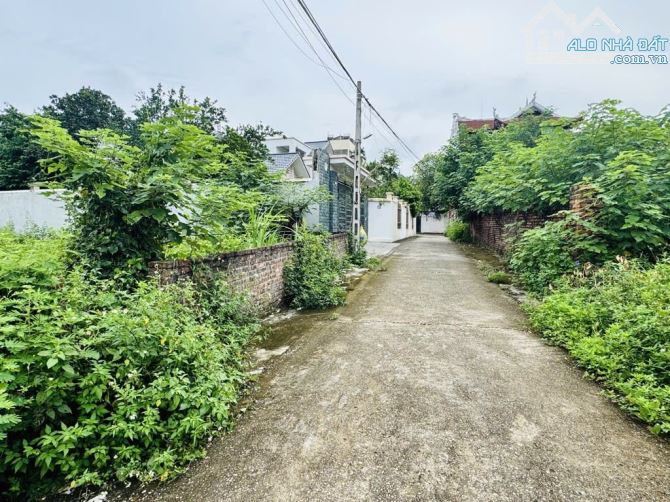 Bán 185m đất ở tại Vệ Linh, Phù Linh, Sóc Sơn - 2