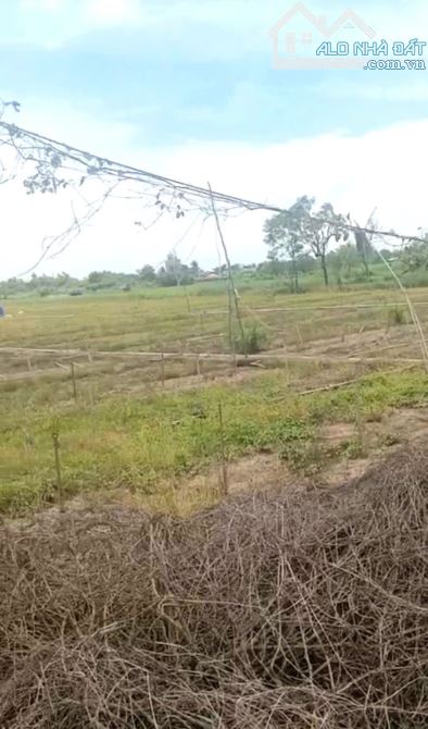 B.á.n 6,2 công đất nền đẹp – mặt tiền ôtô gần HL02 hướng TT Tân Hòa cũ nay xã Tân Hòa , Đồ - 2