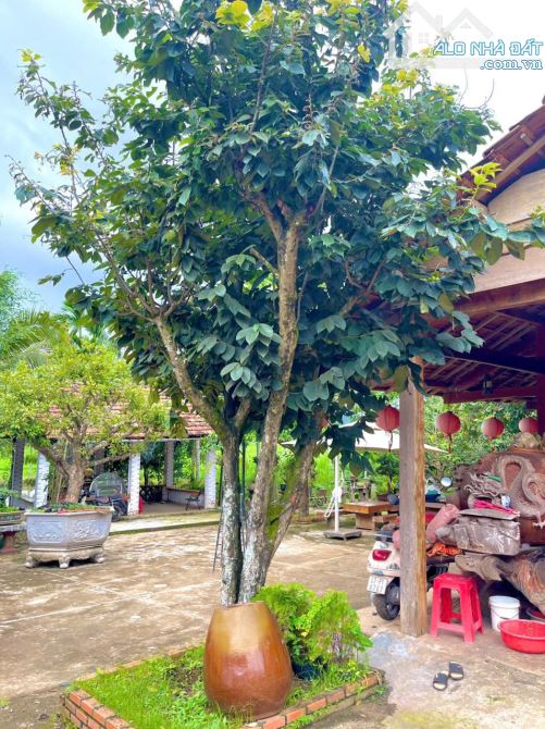 Nhà vườn view hồ 3,4 sào Tc200 sau lưng Đồi Thông Hoà Thắng 14 Tỷ - 2