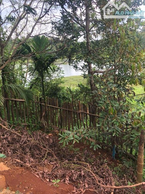 Đất 2,1 sào view hồ Đạt Lý (61x38m) cực đẹp hẻm 11A chỉ 3,89 Tỷ - 2