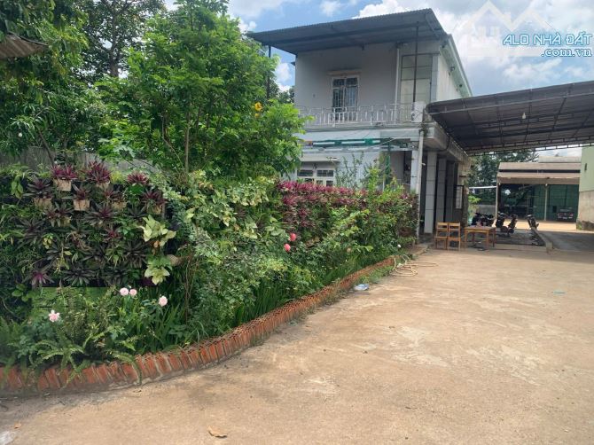 Chuyển nhượng 4600m2 kho xưởng pháp lý SKC mặt tiền ql26 Buôn Ma Thuột - 2