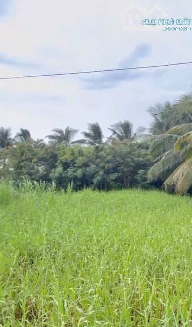 B.á.n (22x45) đất nền đẹp gần biển Rạch Bùn – Tân Điền, Gò Công Đông, Tiền Giang - 2