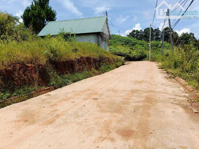 🏡 SIÊU PHẨM ĐẤT Ở BIỆT LẬP ĐƯỜNG 14/3 – LẠC DƯƠNG VIEW THUNG LŨNG 🌄 - 2