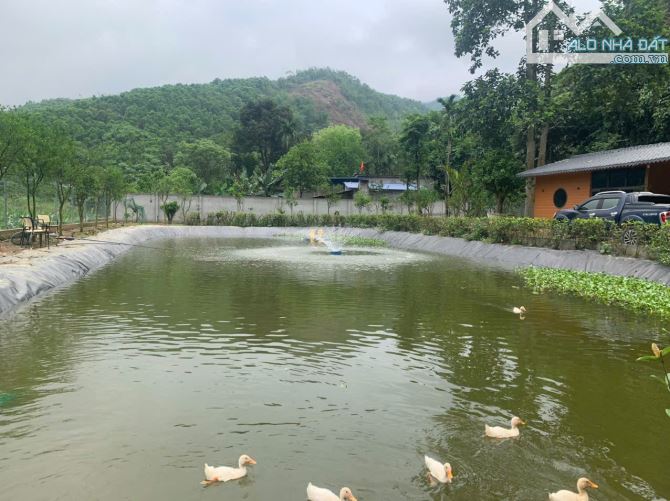 Bán khu đất nghỉ dững Lương Sơn. Dt 4.600m2, ngay sân gôn Sky Lake. Giá 8 tỷ - 2