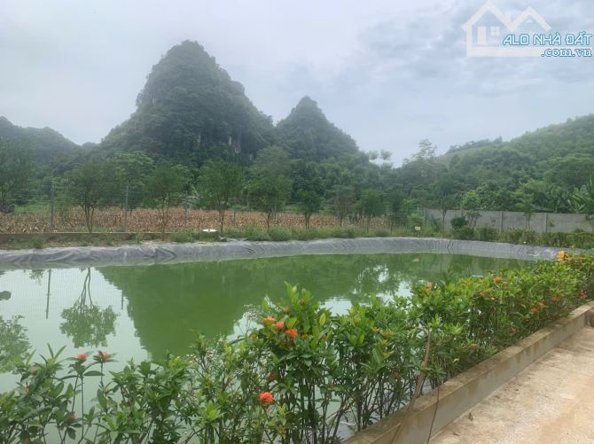 Bán đất Nghỉ dưỡng Chợ Bến, Lương Sơn. Dt 2.300m2, đã sẵn nhà vườn ao chuồng. Giá bán 5.2ỷ - 2