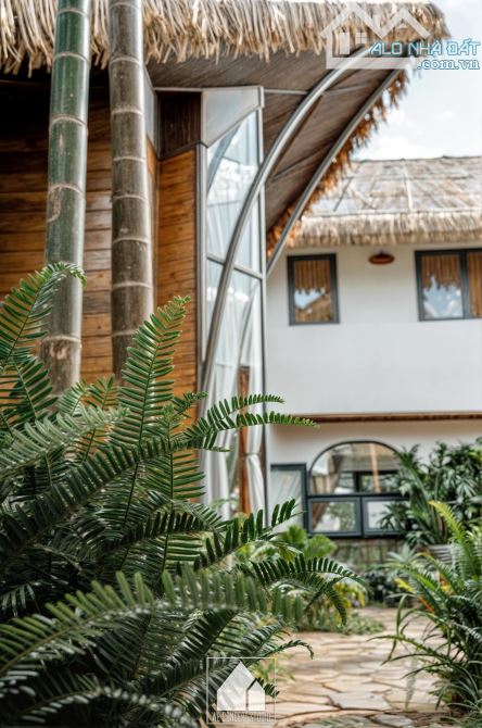 Bán Homestay cực đẹp thu nhập khủng ngay trung tâm BMT - 2
