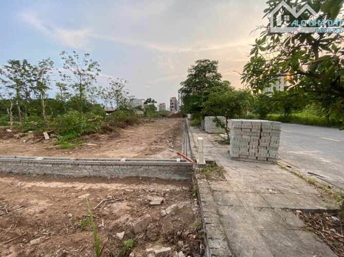 BÁN ĐẤT GIA LÂM PHÂN LÔ ĐÔ THỊ – MẶT TIỀN KHỦNG – OTO TRÁNH – GIÁ F0 - 2