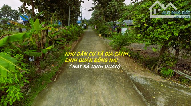 Bán đất mặt tiền nhiều Xã Gia Canh, Định Quán DT: 1642m2(38mx45m) nở hậu 44m chỉ 1ty350 - 2
