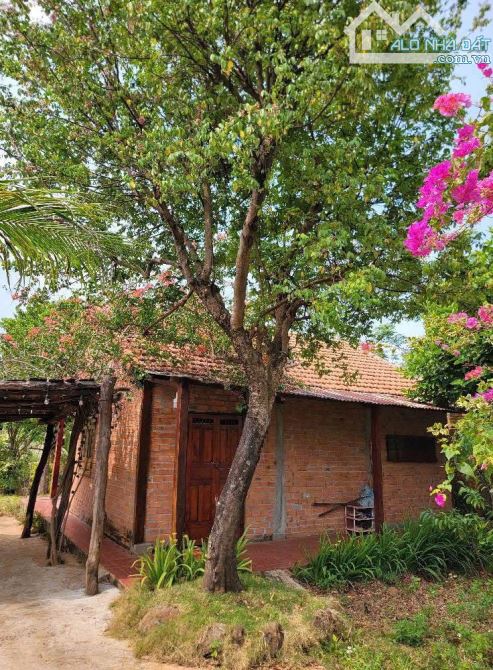 NHÀ VƯỜN HÒA NAM - BUÔN ĐÔN GIÁ 1.5Tỷ GIẢM KỊCH SÀN CÒN 1 Tỷ050 - 2
