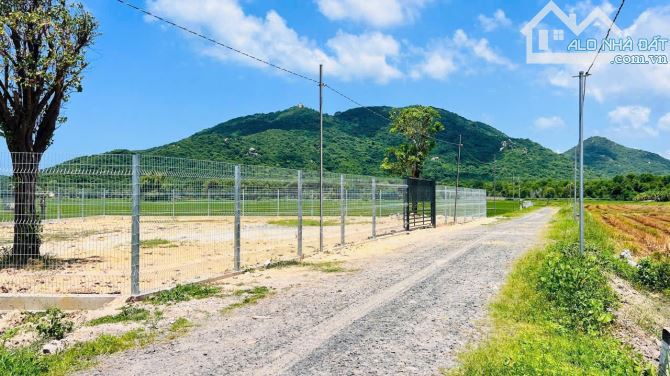 Thị Trấn Phước Hải - BRVT; cách biển Phước Hải chỉ 2km  🌈DT 689,5m2 32x28m - 2