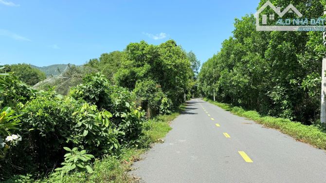 VƯỜN NHÃN THỊ TRẤN PHƯỚC HẢI - LONG ĐẤT - BRVT; view núi Minh Đạm và gần Hồ Sở Bông  🌈🌈 - 2