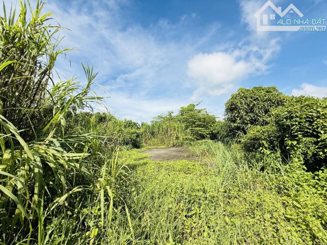 🌳 ĐẤT VƯỜN NGANG KHỦNG 19,2M – 955M² – VIEW SÔNG THOÁNG MÁT – GIÁP HÓC MÔN - BÌNH MỸ-6TỶ - 3