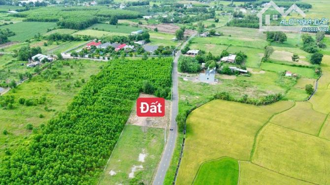 👉SẴN 7 LÔ FO GẦN BIỆT THỰ TÂY HỒNG SÁT QL55 XÃ ĐẤT ĐỎ - TP HCM.VỊ TRÍ ĐẮC ĐỊA NHIỀU TIỀM - 3