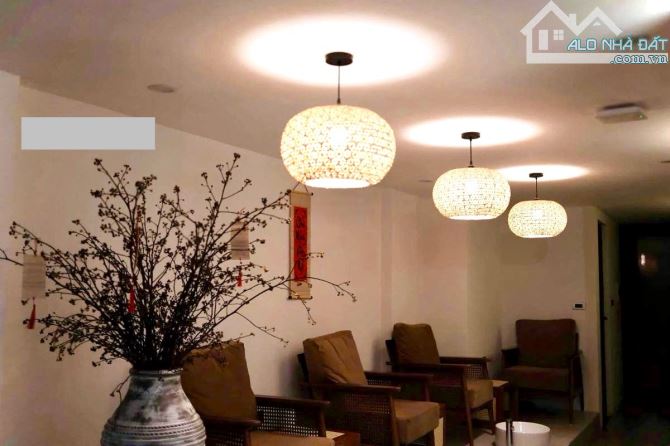 7T thang máy mặt phố Tôn Đức Thắng, vỉa hè, KD, cho thuê 1.2 tỷ/năm, 109m2