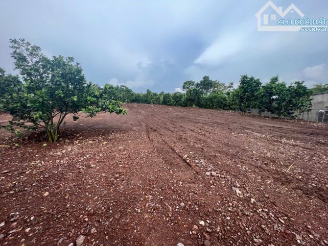 KẸT TIỀN BÁN NHANH LÔ ĐẤT HƠN 1000M2 TẠI HÀNG GÒN- LONG KHÁNH - 3