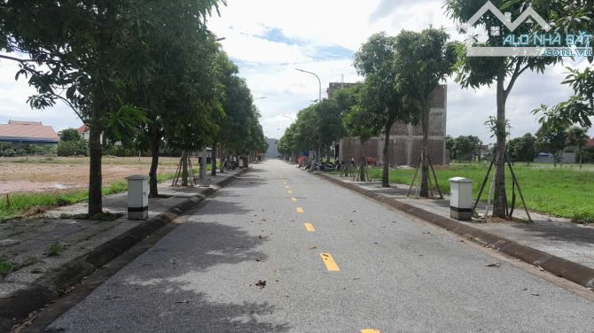 Bán Đất Quang Minh Tân Dương, Thủy Đường, Thủy Nguyên, HP. 2,6-3,35 tỷ, 75m2. - 3