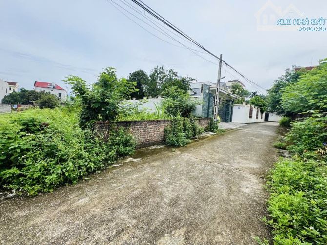 Bán 185m đất ở tại Vệ Linh, Phù Linh, Sóc Sơn - 3