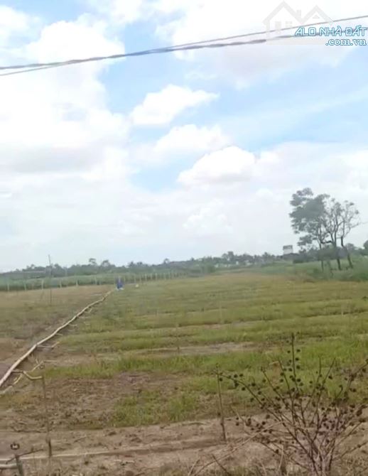 B.á.n 6,2 công đất nền đẹp – mặt tiền ôtô gần HL02 hướng TT Tân Hòa cũ nay xã Tân Hòa , Đồ - 3