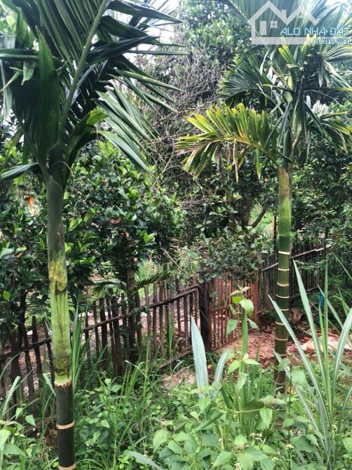 Đất 2,1 sào view hồ Đạt Lý (61x38m) cực đẹp hẻm 11A chỉ 3,89 Tỷ - 3