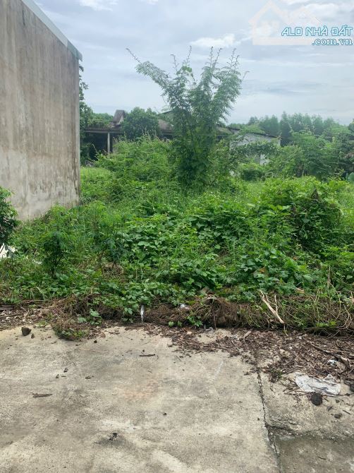 BÁN NHANH ĐẤT LA KHÊ - THỦY BẰNG – TP. HUẾ - 3
