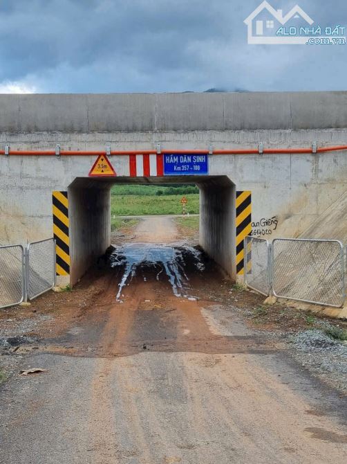 Đất trồng cây thôn Xuân Nam, Xã Diên Xuân Diên Khánh dt 1115m2 oto tận nơi - 3