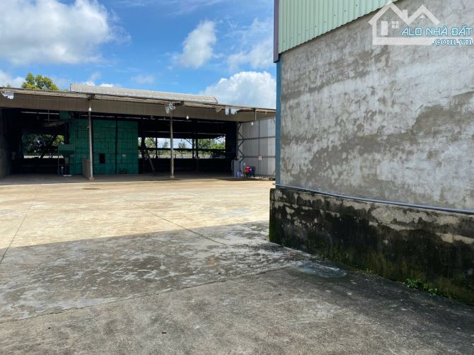 Chuyển nhượng 4600m2 kho xưởng pháp lý SKC mặt tiền ql26 Buôn Ma Thuột - 3