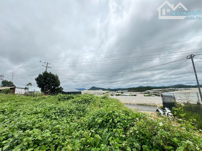 🌿 ĐẤT Ở BIỆT LẬP – TRẠI MÁT - VIEW THOÁNG  - 8.8 TỶ - 3