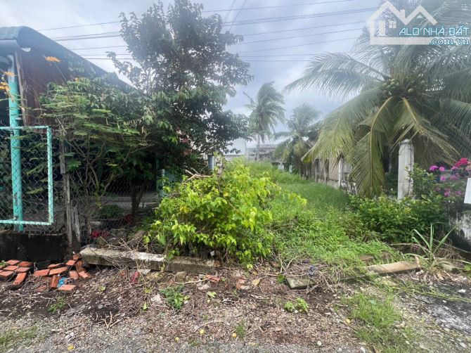 💥BÁN ĐẤT THỔ CƯ TRONG KDC XÃ HÀM MỸ - BÌNH THUẬN - 3