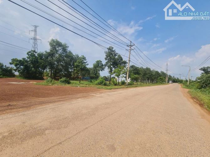 D287 Chủ gởi bán 3 sổ đất qh skc Tân An- Đồng Nai - 3