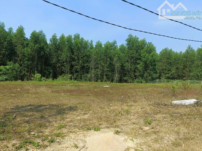 Bán Đất Vườn ( Quy Hoạch Thổ Cư ) Khánh Đông, Khánh Vĩnh, Khánh Hòa - 3
