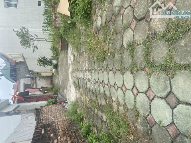 Bán Đất Lô Góc 2 mặt thoáng - Đăng Xá - Gia Lâm - 3