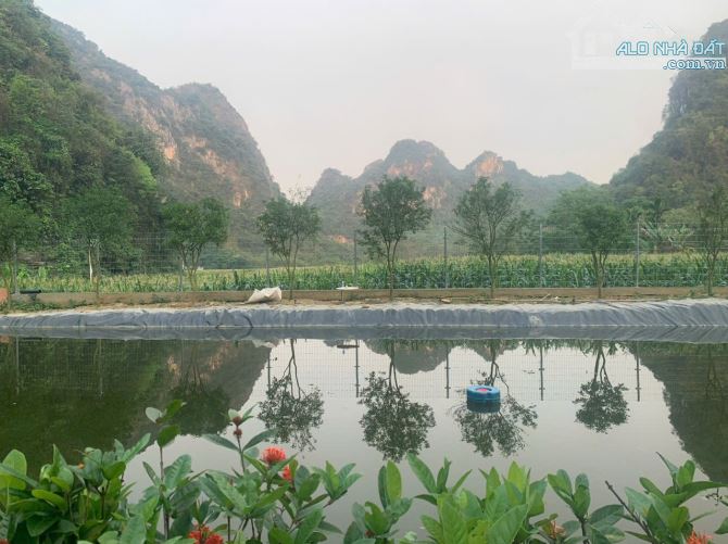 Bán đất Nghỉ dưỡng Chợ Bến, Lương Sơn. Dt 2.300m2, đã sẵn nhà vườn ao chuồng. Giá bán 5.2ỷ - 3