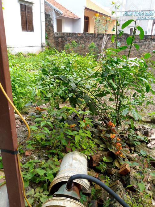 Bán gấp Mảnh đất Trục chính Đào Xuyên, Ô tô tránh, 89M – Giá 78tr/m, Nhanh nhanh xem ngay - 3